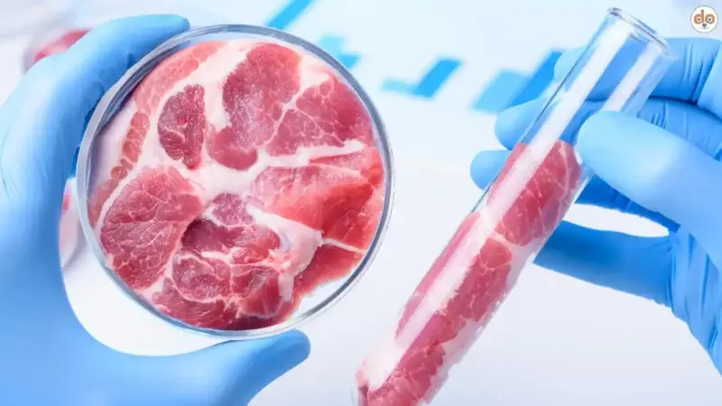 Hundefutter aus dem Reagenzglas? Laborfleisch erklärt