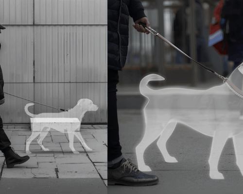 Hobby Dogging Gassi Spaziergang mit unsichtbarem Hund