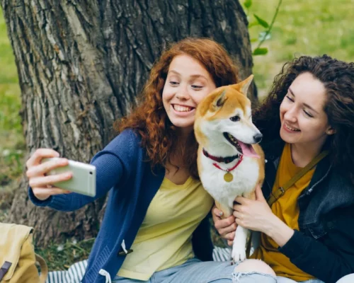 Selfie mit Hund für Social-Media