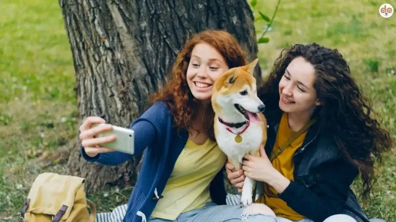 Warum Social-Media-Trends viele Hunde überfordern – und was du dagegen tun kannst