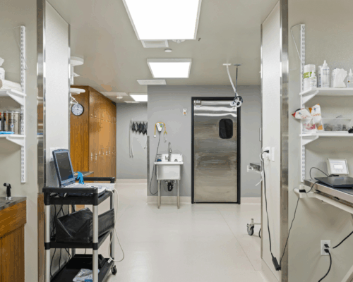 Tierarzt oder Tierklinik