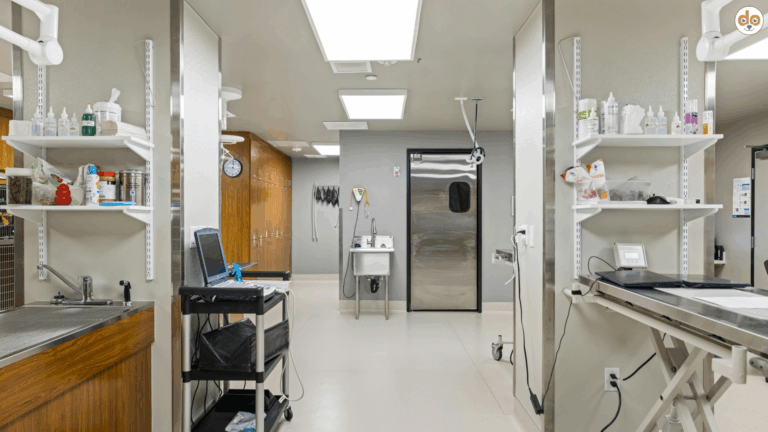 Tierarzt oder Tierklinik