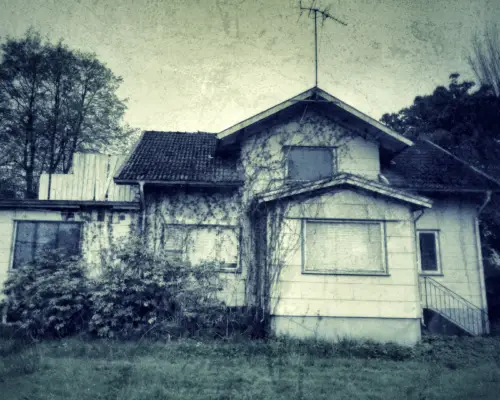 Tierhalteverbot Symbolfoto