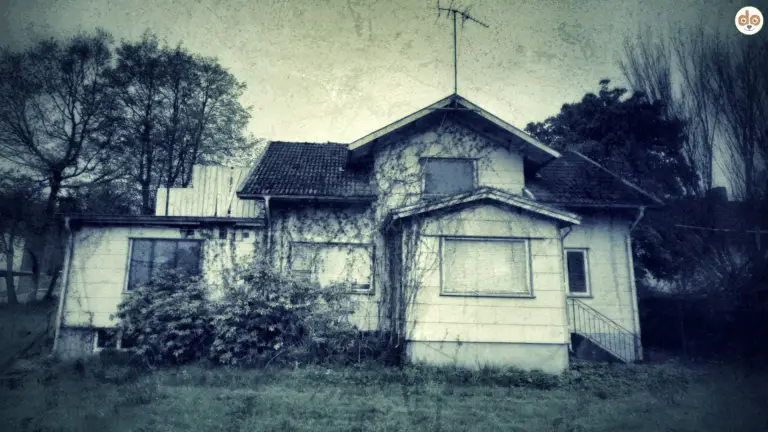 Tierhalteverbot Symbolfoto