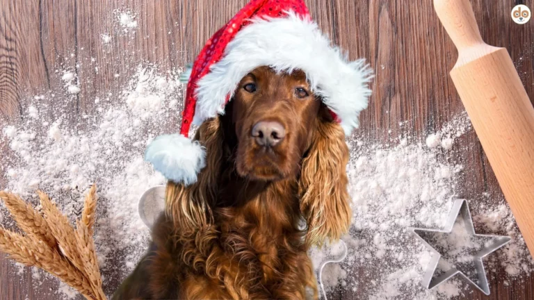 Weihnachtliches Leckerli backen