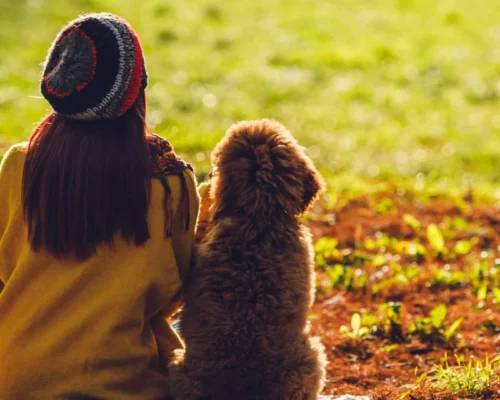 Mensch Hund Beziehung