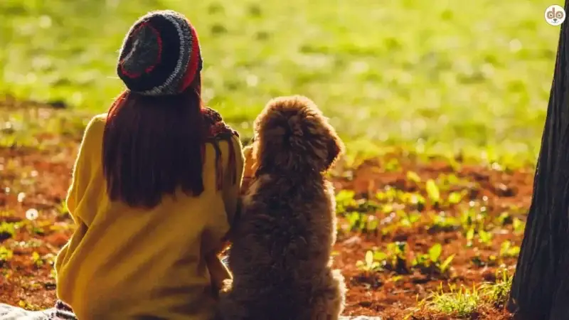 Mensch-Hund-Beziehung