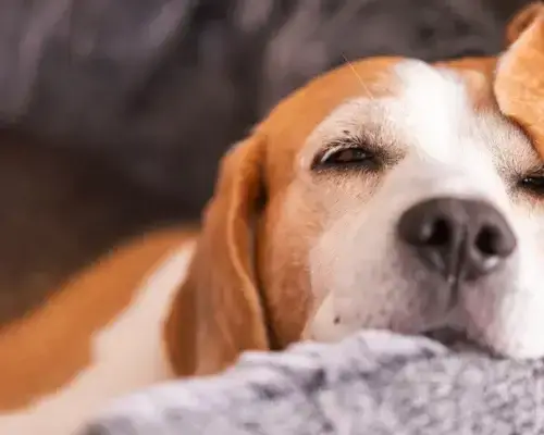 Ruhe Entspannung Entlastung Entschleunigung