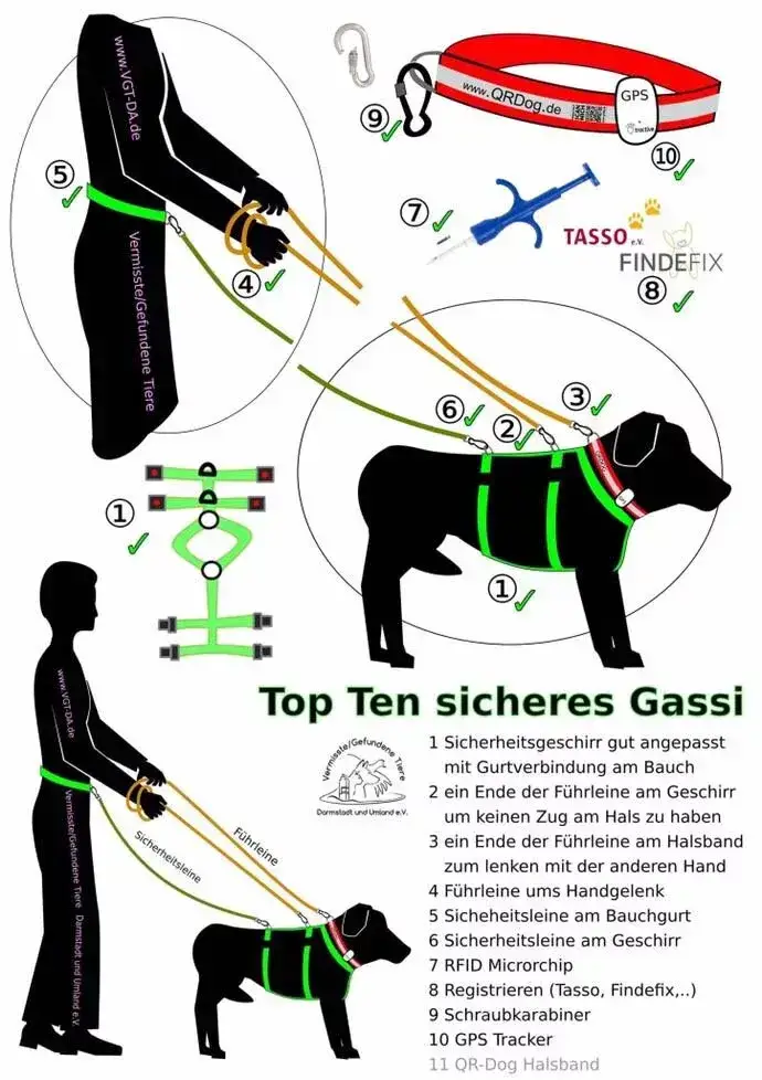 Schaubild Mehrfachsicherung Sicherheitsgeschirr Hund
