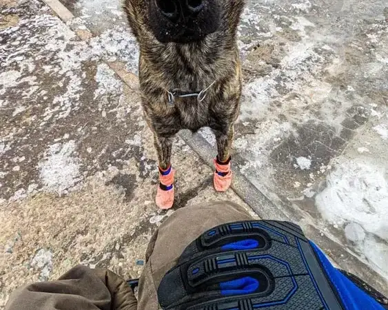 Booties