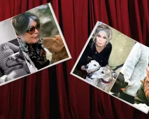 Brigitte Bardot Foto-Compilation vor Kinovorhang