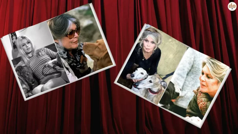 Brigitte Bardot: Vom Weltstar zur Stimme der Tiere