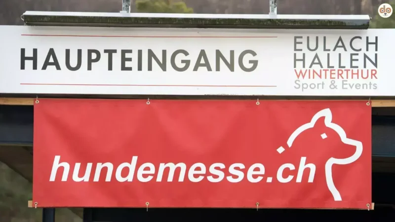 Hund 2026: Die Hundemesse Schweiz unter dem Motto „Hunde in Bewegung“