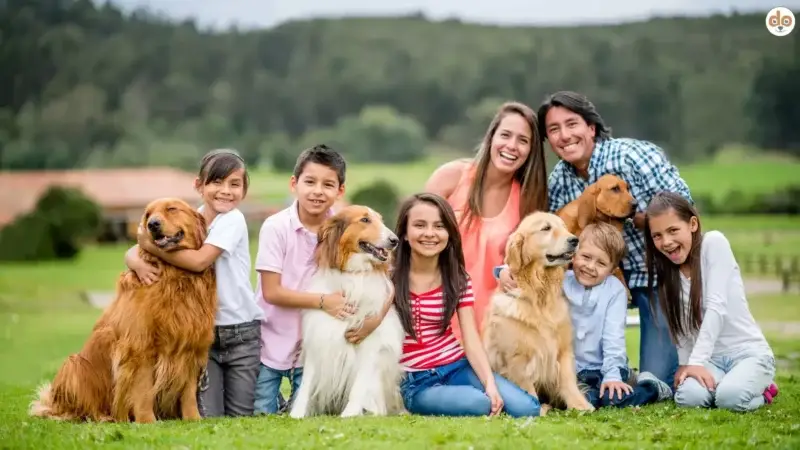 Was bedeutet Familieneignung bei Hunden wirklich? Eine Einordnung für Familien