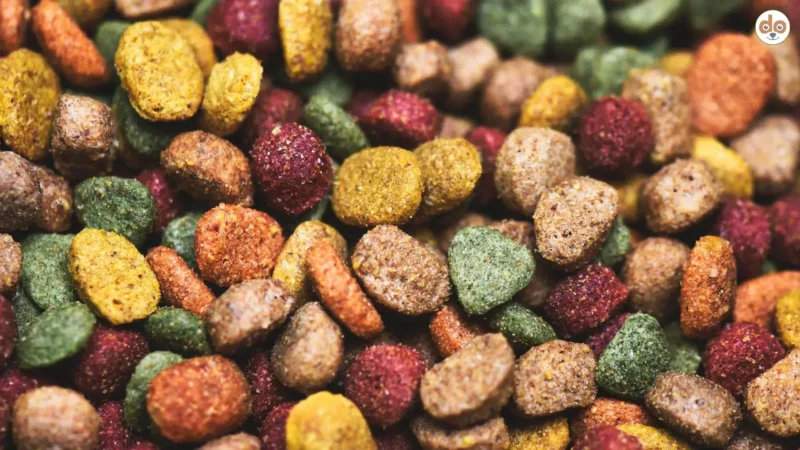 Farbstoffe im Hundefutter: Was steckt in den bunten Pellets?