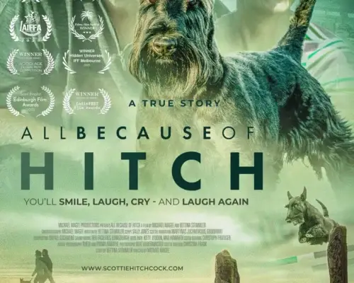 Film: All Because of Hitch