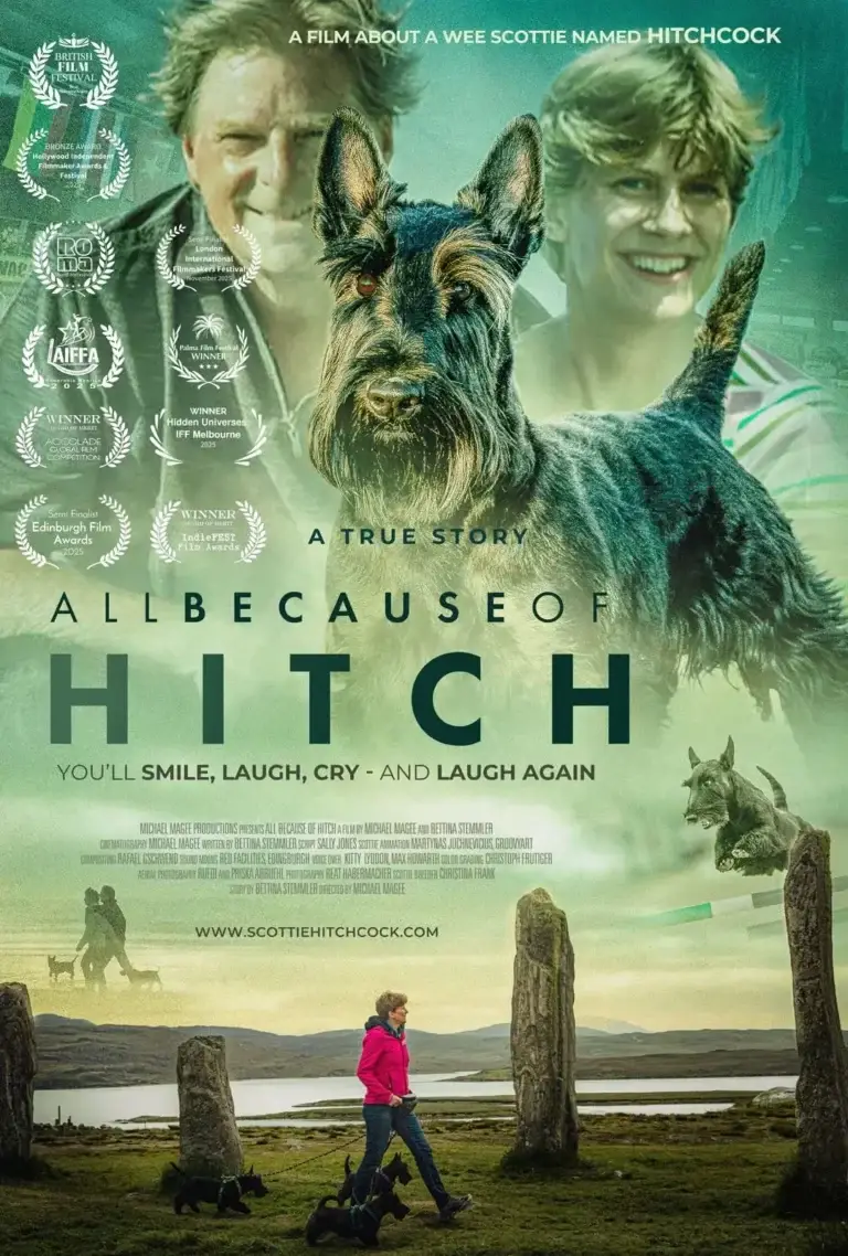 Film: All Because of Hitch