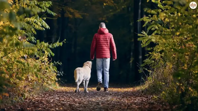 Beschäftigt oder verbunden? Der Unterschied, der alles verändert
