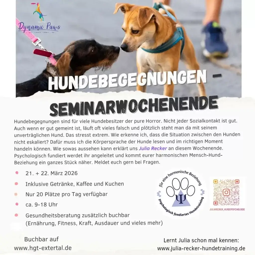 Hundebegegnungen meistern – Das Seminarwochenende