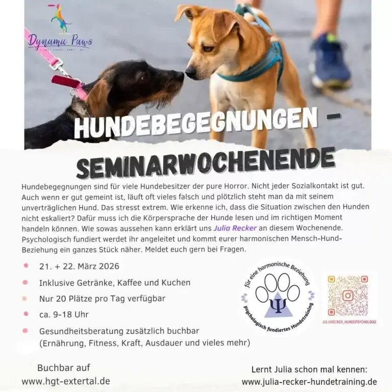 Hundebegegnungen meistern – Das Seminarwochenende