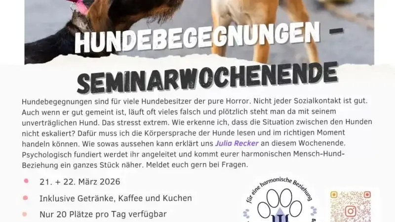 Hundebegegnungen meistern - Das Seminarwochenende - hundebegegnung seminarwochenende