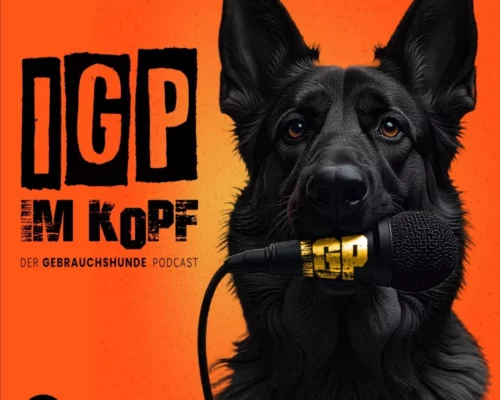 IGP im Kopf Logo