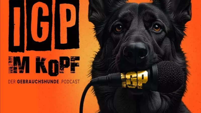 IGP im Kopf – Der Gebrauchshunde-Podcast, den Du kennen solltest