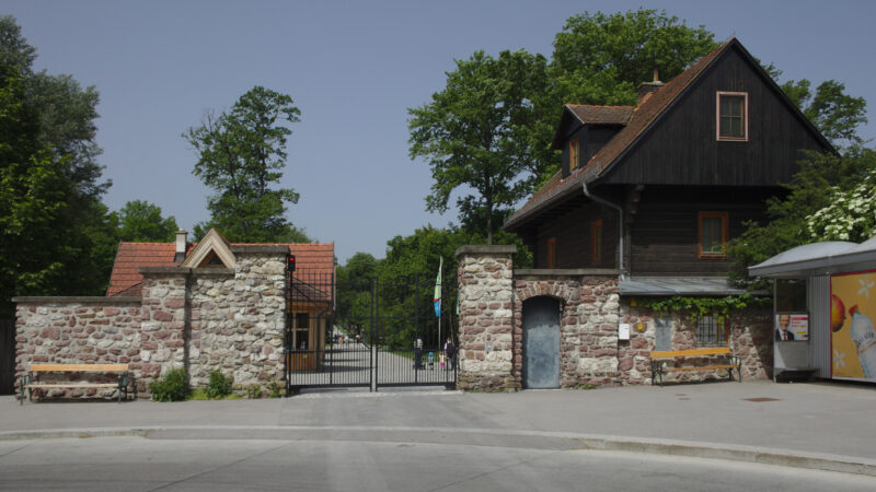 Lainzer Tiergarten - lainzer tiergarten 20433
