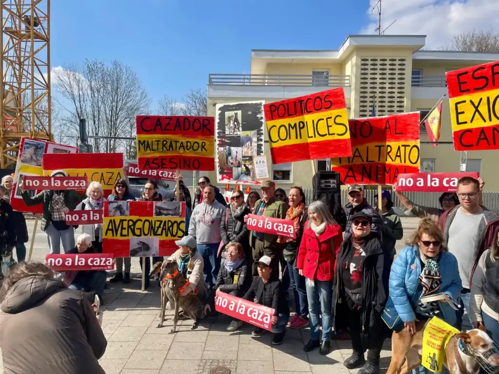 Von Köln bis Mexiko-Stadt: Schutz für Spaniens Jagdhunde in 31 Städten gefordert