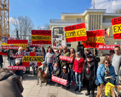 Demo 20032026 Muenchen 1 1