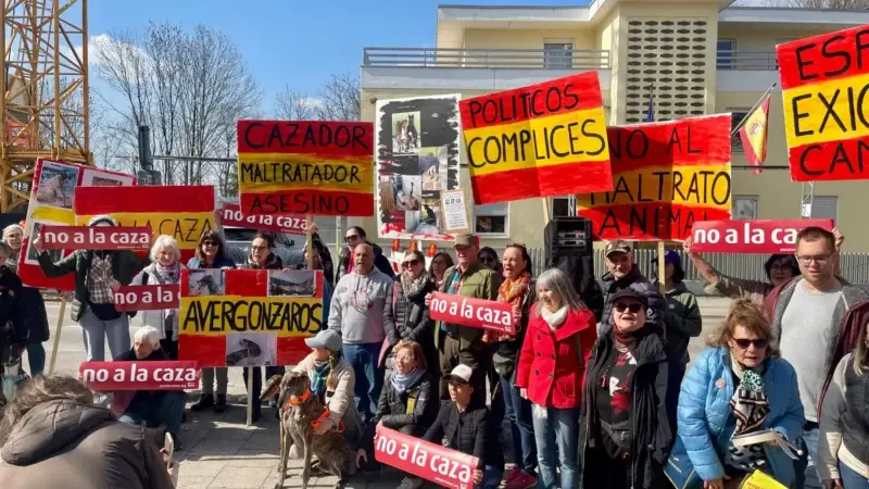 Von Köln bis Mexiko-Stadt: Schutz für Spaniens Jagdhunde in 31 Städten gefordert