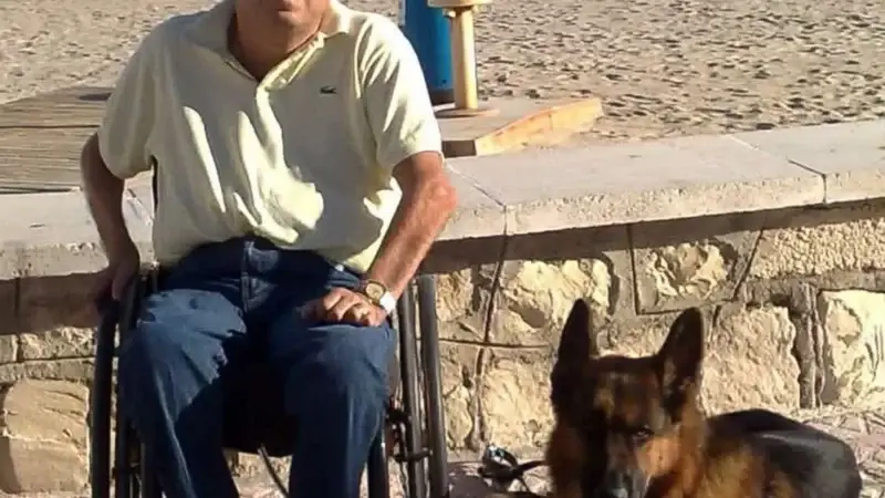 Gebrauchshund im Rollstuhl: Wie Markus mit dem Deutschen Schäferhund Selbstständigkeit und Sicherheit zurückgewann