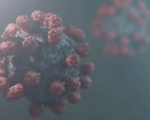Norovirus - Virus