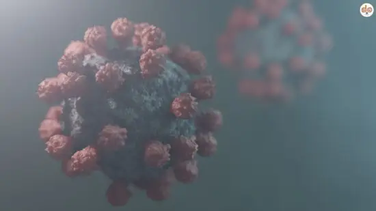 Norovirus - Virus