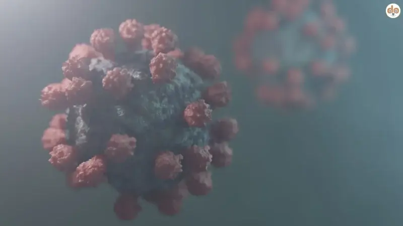 Norovirus und Hund: Können sich Hunde beim Menschen anstecken?