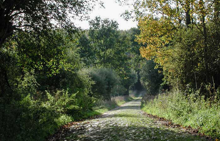 Schorfheide-Chorin - schorfheide chorin 8466