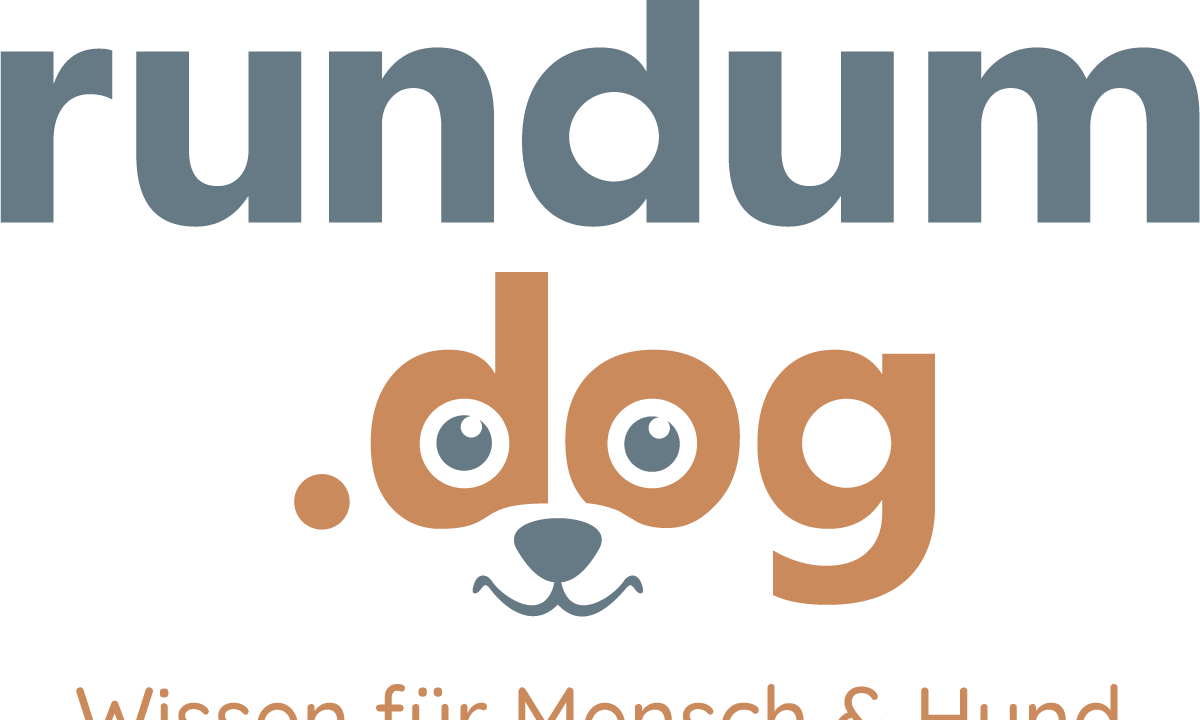 Hund In Ha loch Rundum dog hund-in-ha-loch-rundum-dog