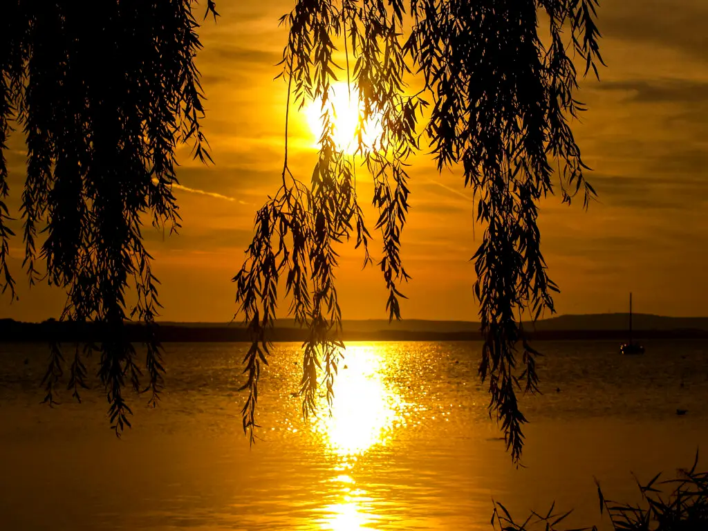 Naturpark Steinhuder Meer
