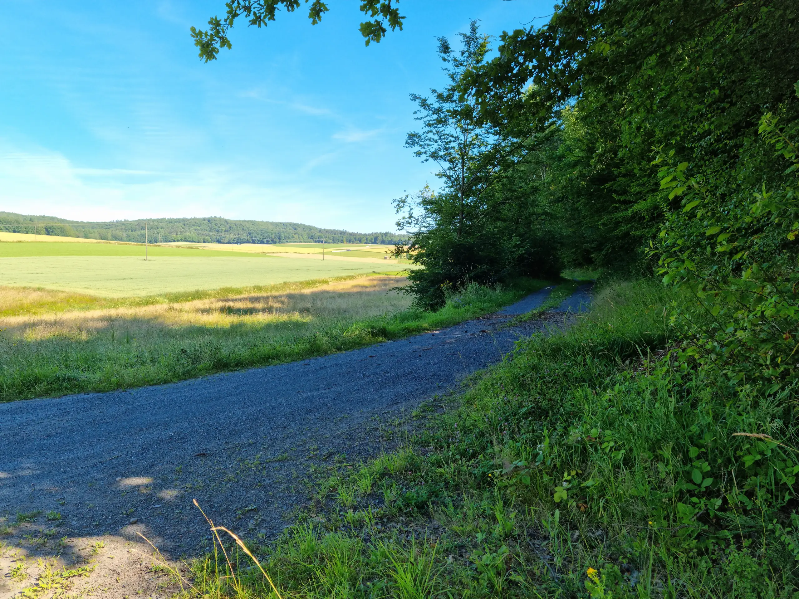 Die Borkener Berge (Wandergebiet „Die Berge") - 1300 Blick vom Wald bei Tiefenbach das Tal der Bentreff hinauf Richtung Willershausen