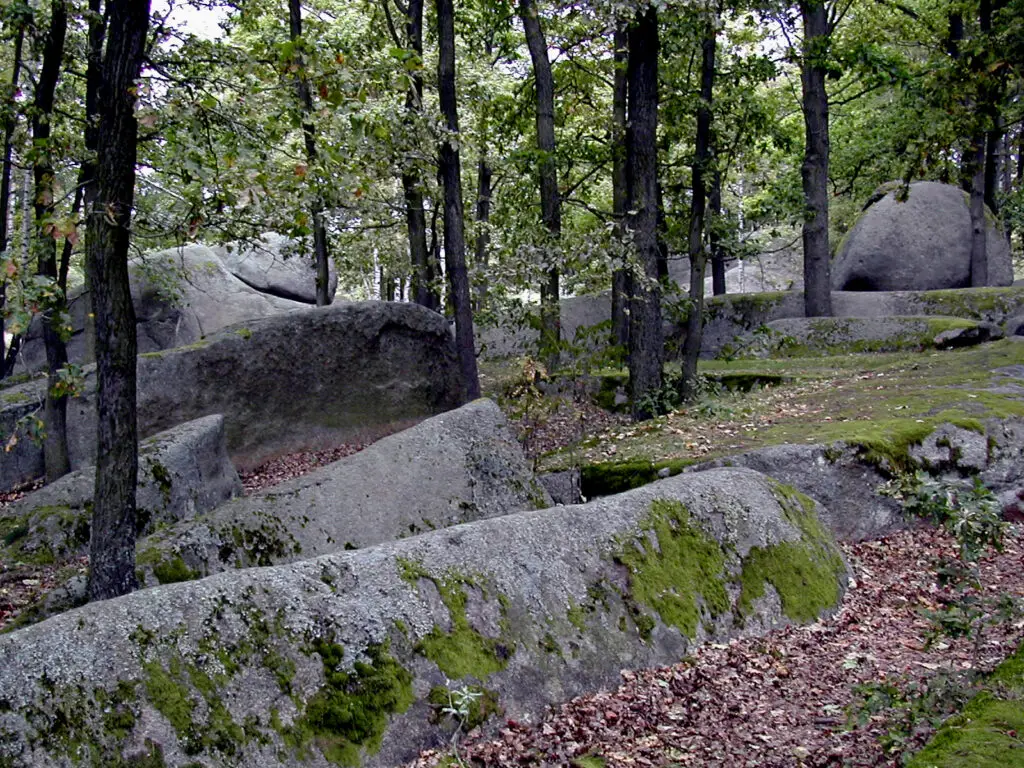Naturpark Blockheide