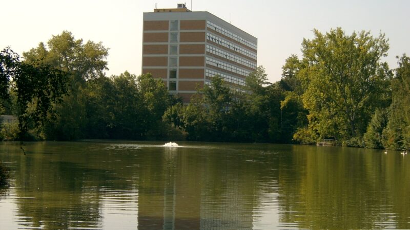 Stadtpark Wieseckaue Gießen - 2005 09 GieC39Fen FH