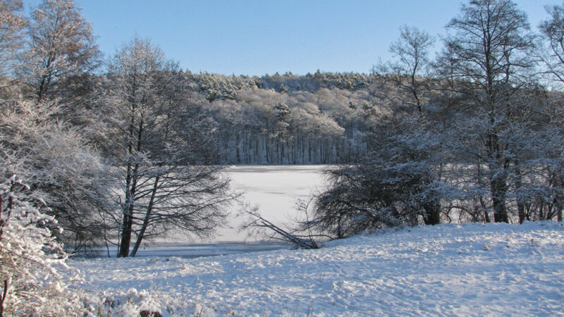 Rundwanderweg Tornowsee