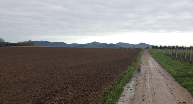 Blick auf Wachtberg