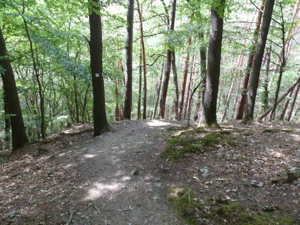 Ahrschleife bei Altenahr