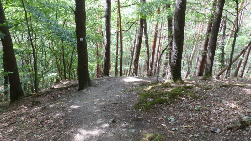 Ahrschleife bei Altenahr - 2019 06 14 Altenahr Langfigtal 2810129