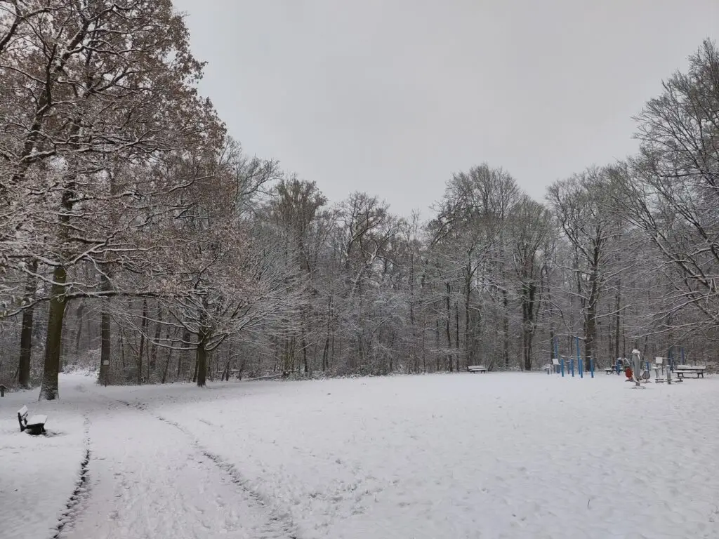 Eilenriede Hannover