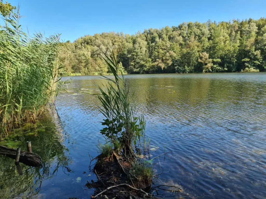 Villeseen