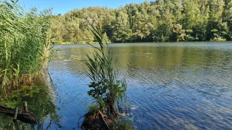 Villeseen - 20240824 163843 Mittelsee 28Villeseen29