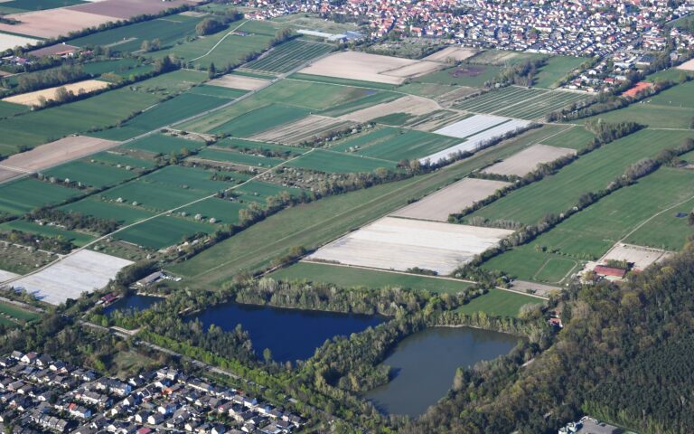 Blick auf Haßloch