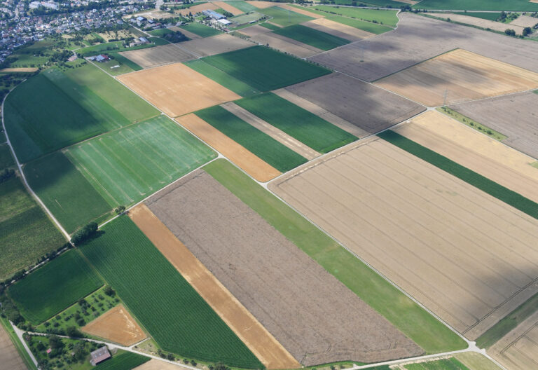Blick auf Vaihingen an der Enz